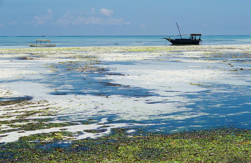 sansibar - photo w. prokschi