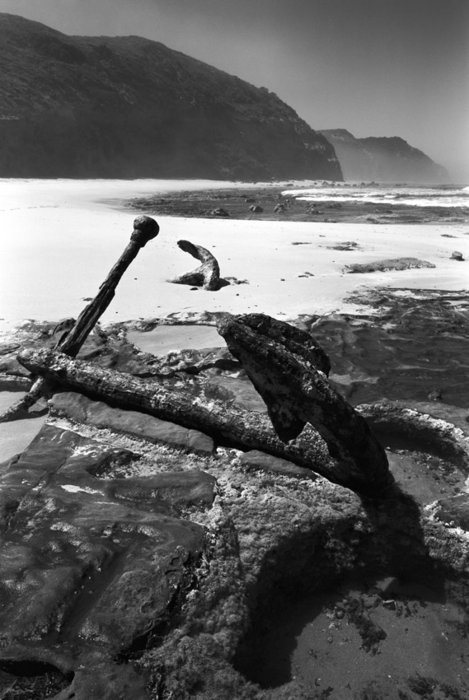 moonlight-head - photo w. prokschi