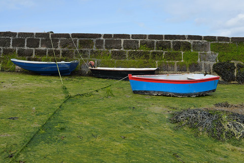 bretagne - photo w. prokschi