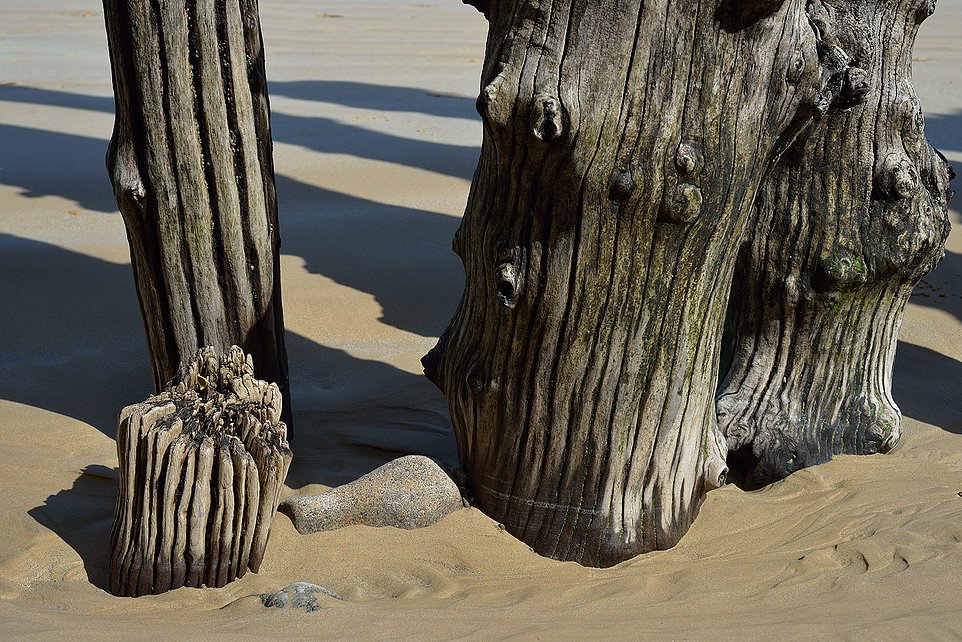 bretagne - photo w. prokschi