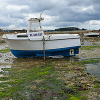 bretagne - photo w. prokschi